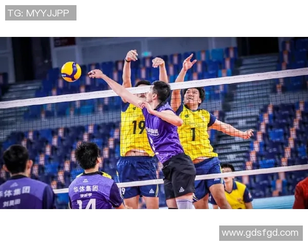 风暴背靠山猫连胜之路李月汝战术调整成关键焦点