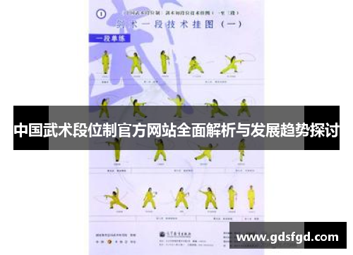 中国武术段位制官方网站全面解析与发展趋势探讨