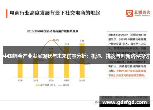 中国锦金产业发展现状与未来前景分析：机遇、挑战与创新路径探讨